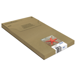 Epson C13T03U64510 ink cartridge 1 pc(s) Original Standard Yield Black, Cyan, Magenta, Yellow