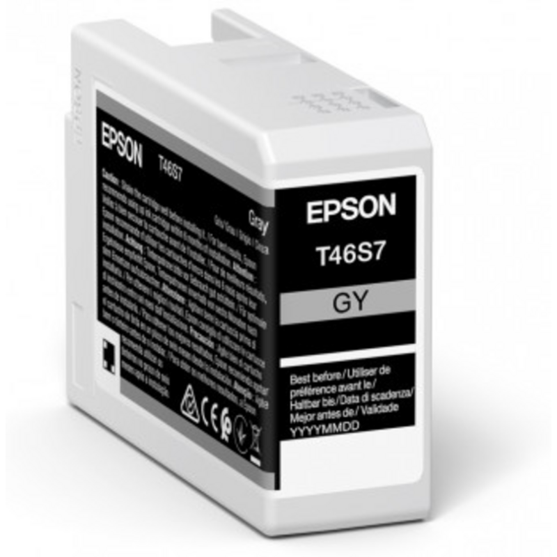 Epson UltraChrome Pro ink cartridge 1 pc(s) Original Grey