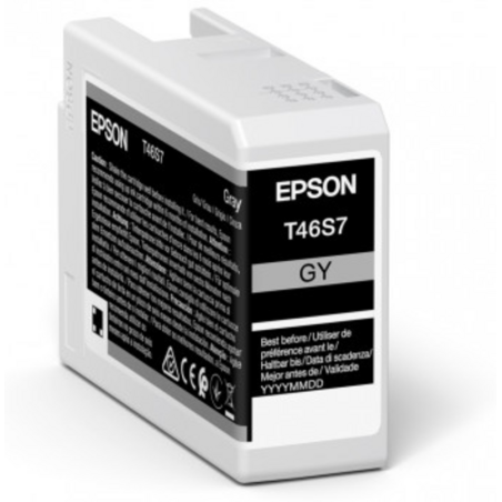 Epson UltraChrome Pro ink cartridge 1 pc(s) Original Grey