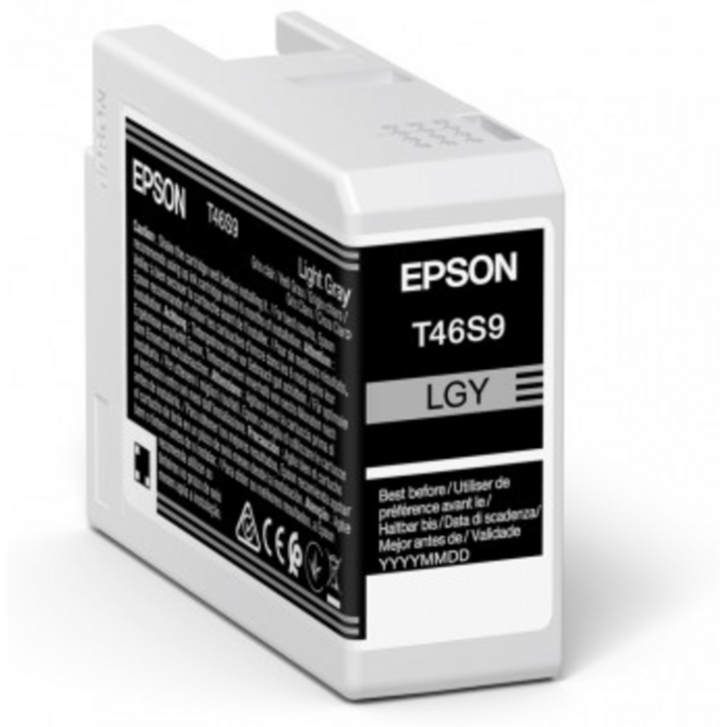 Epson UltraChrome Pro ink cartridge 1 pc(s) Original Light grey