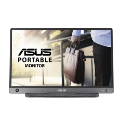 ASUS MB16AH computer monitor 39.6 cm (15.6") 1920 x 1080 pixels Full HD Black, Grey