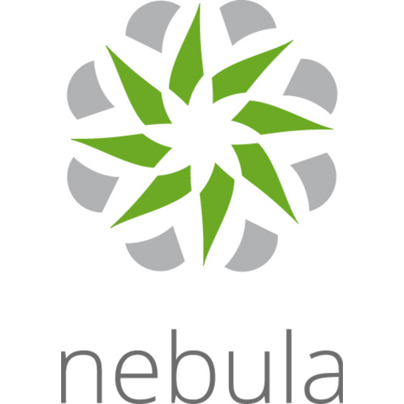 Zyxel LIC-NPRO-ZZ1Y00F software license/upgrade 1 license(s) 1 year(s)