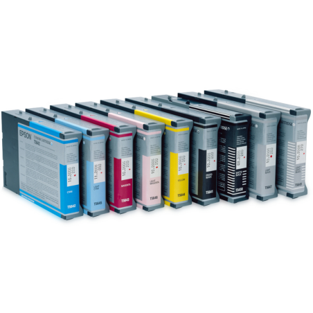 Epson Singlepack Light Cyan T602500