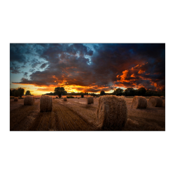 Samsung VM55B-U LED Indoor