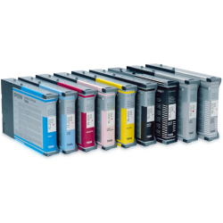 Epson Singlepack Light Black T602700