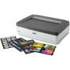 Epson Expression 13000XL Pro Business card scanner 2400 x 4800 DPI A3 Grey, White