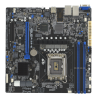 ASUS P13R-M Intel C262 LGA 1700 micro ATX