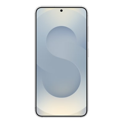 Samsung Galaxy S25 Enterprise Edition 15.8 cm (6.2") Dual SIM Android 15 5G USB Type-C 12 GB 128 GB 4000 mAh Silver