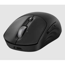 HP 705 Rechargeable Wireless EMEA mouse
