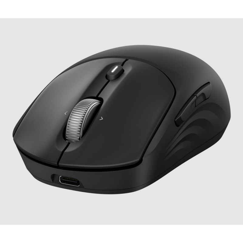 HP 705 Rechargeable Wireless EMEA mouse