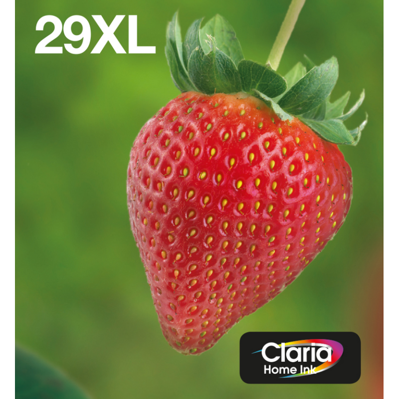 Epson Strawberry Multipack 4-colours 29XL EasyMail