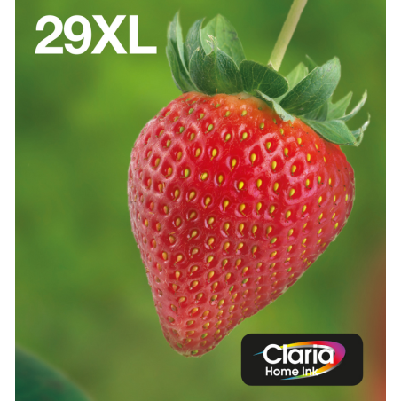 Epson Strawberry Multipack 4-colours 29XL EasyMail