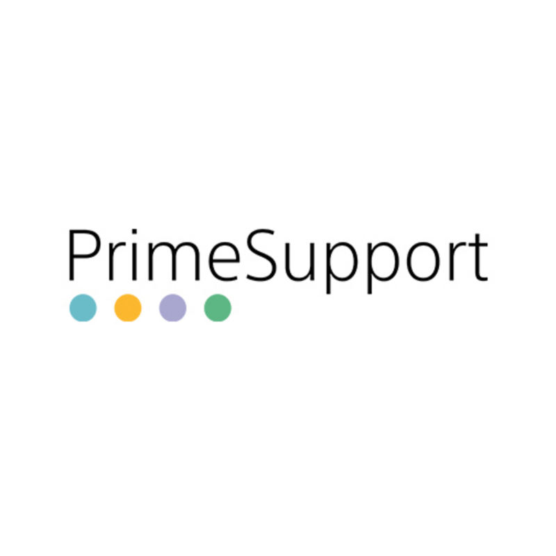 Sony PrimeSupport On-Demand, expense, 1 day - on-site